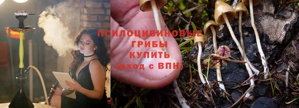 бошки Переславль-Залесский
