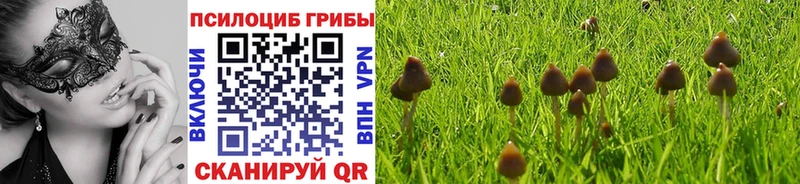 Галлюциногенные грибы мицелий  Холмск 