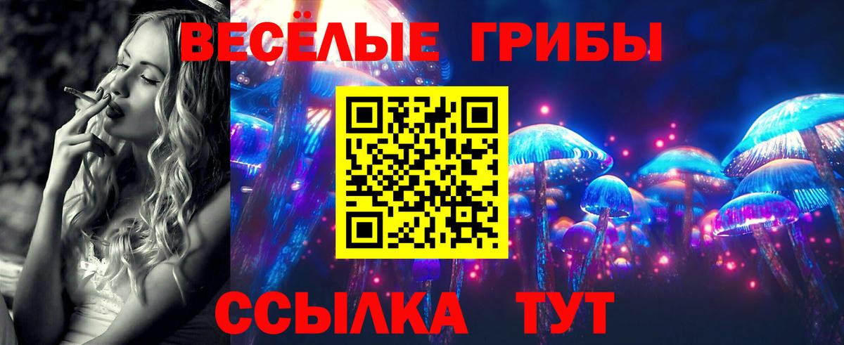 Галлюциногенные грибы Cubensis  Вход с VPN  Холмск 
